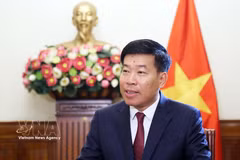 El viceministro de Relaciones Exteriores Nguyen Manh Cuong. (Fuente: VNA)