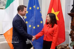 La vicecanciller vietnamita Le Thi Thu Hang y el secretario de Estado del Ministerio de Asuntos Exteriores y Comercio de Irlanda, Neale Richmond. (Fuente: VNA)