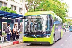 Impulsan “ecologización” del sistema de autobuses en ciudades clave de Vietnam. (Fuente: nhandan.vn)