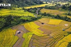 Belleza de Muong Nhe. (Fuente: VNA)