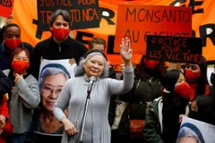 Tran To Nga ha dedicado más de 30 años a buscar justicia para las víctimas del Agente Naranja desde Francia, donde reside actualmente. (Fuente: VNA)