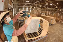 En una empresa de procesamiento de madera. (Fuente: VNA)
