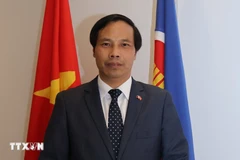 El embajador vietnamita en Qatar, Nguyen Huy Hiep. (Fuente: VNA)