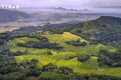 Belleza de Thuong Coc. (Fuente: VNA)