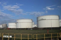 Reservas estratégicas de petróleo, clave para la seguridad energética de Vietnam