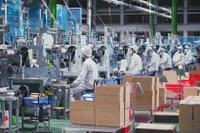 Foto de ilustración. (Fuente: VNA)