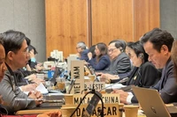 Representantes vietnamita en la reunión. (Fuente: VNA)