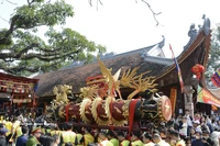 Festival de cañones en Bac Ninh capta atención de lugareños y visitantes 