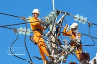 Inspección y reparación de líneas eléctricas para garantizar un suministro eléctrico seguro y continuo en las provincias centrales. (Foto: VNA)