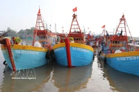 Barcos anclados en el puerto pesquero de Vam Lang, comuna de Gia Thuan, provincia de Dong Thap. (Foto: VNA)