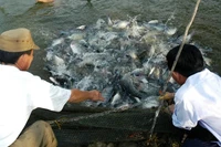 Foto de ilustración. (Fuente: Ministerio de Agricultura y Medio Ambiente)