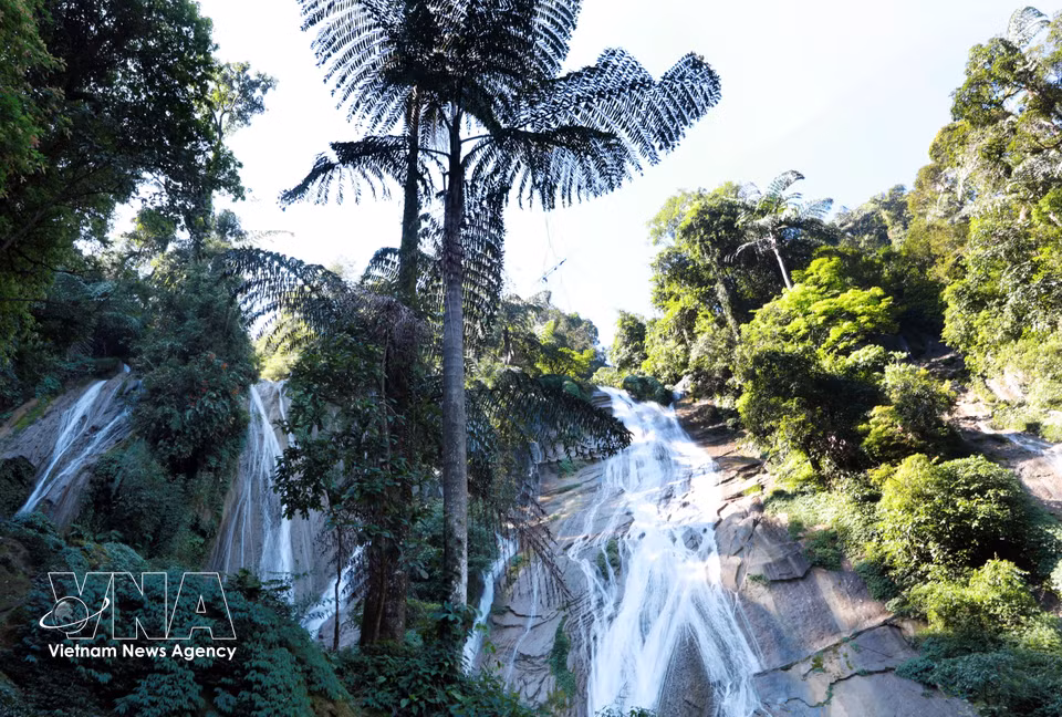 El nivel superior de la cascada, de unos 140 metros de altura, deja caer el agua como una delicada banda de seda sobre la montaña, en medio de un ecosistema de extraordinaria diversidad. (Foto: VNA)