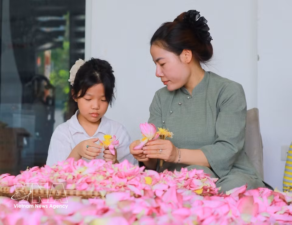 La elaboración del té de loto de Quang An es un oficio artesanal de larga tradición, transmitido de generación en generación y preservado mediante un proceso realizado íntegramente a mano. (Foto: VNA)