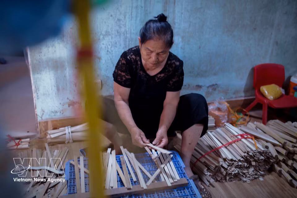 Sau, artesana con más de 50 años de experiencia, selecciona cuidadosamente las varillas de bambú que servirán como estructura del abanico. (Foto: VNA)
