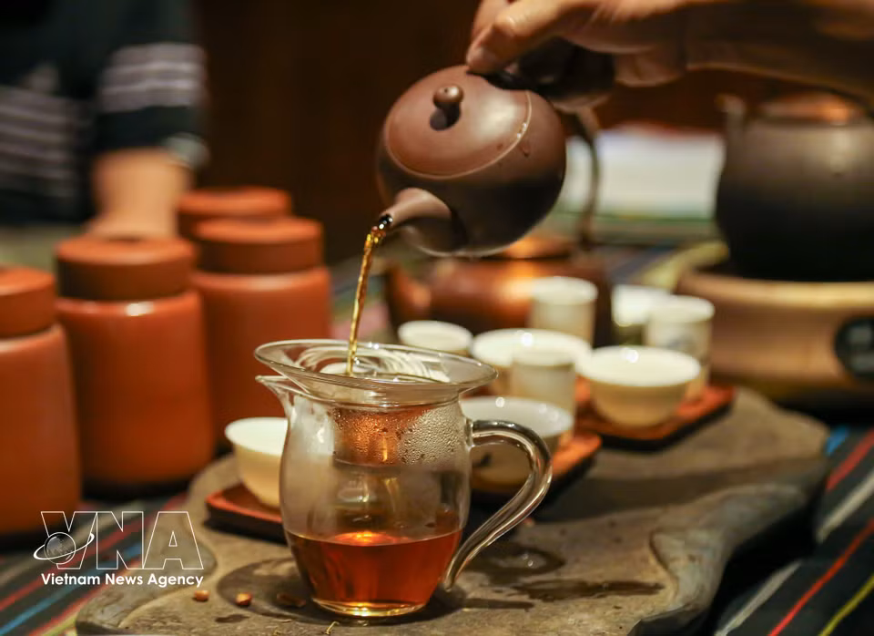En la taza, el té Shan Tuyet revela un característico color ámbar rojizo. En esta etapa, los maestros del té evalúan cuidadosamente su sequedad y aroma antes de proceder a la degustación, un paso clave en la valoración de su calidad. (Foto: VNA)