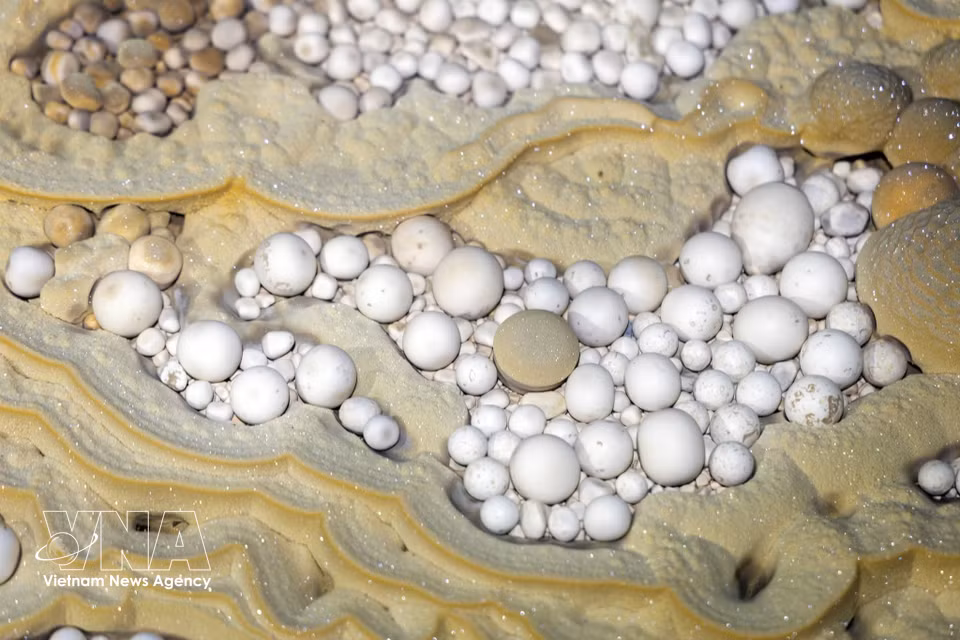 Hermosas perlas de caverna descubiertas en la cueva Thang. (Foto: VNA)