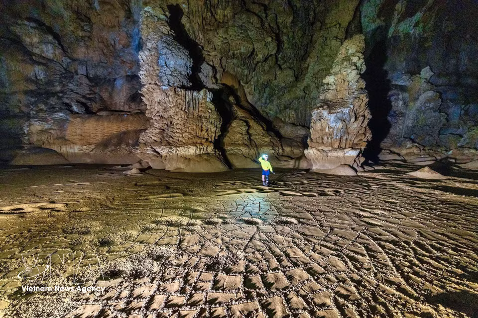 Los estudios preliminares indican que la caverna tiene aproximadamente tres mil metros de largo, con un ancho promedio de 70 metros y varias cámaras que superan los 100 metros. (Foto: VNA)