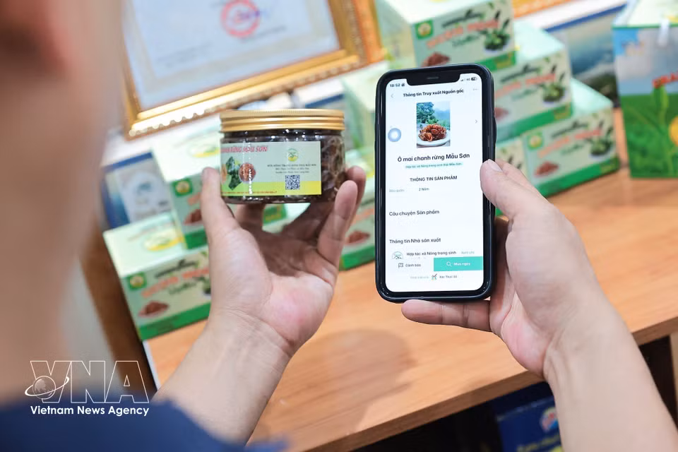 La Cooperativa Ecoagrícola de Mau Son incorpora códigos QR para garantizar la trazabilidad de sus productos, una herramienta que incrementa su valor y refuerza la confianza de los consumidores. (Foto: VNA)