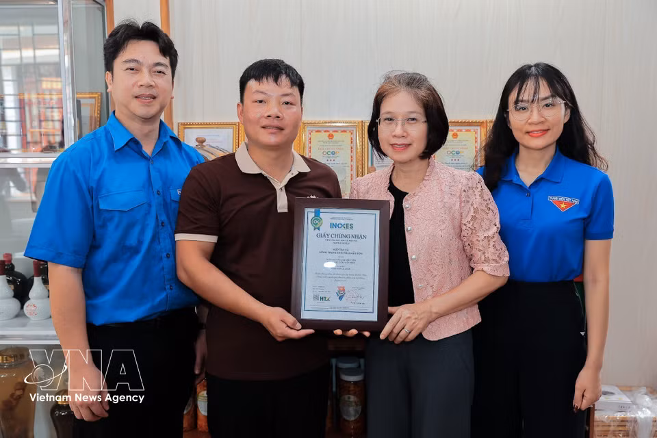 Nguyen Thi Hoai Linh, vicepresidenta de la Alianza Cooperativa de Vietnam, entrega el certificado de verificación en el sistema de trazabilidad hoptaxa.vn al producto "Vino fermentado con hojas A Mui" de la Cooperativa Ecoagrícola de Mau Son. (Foto: VNA)