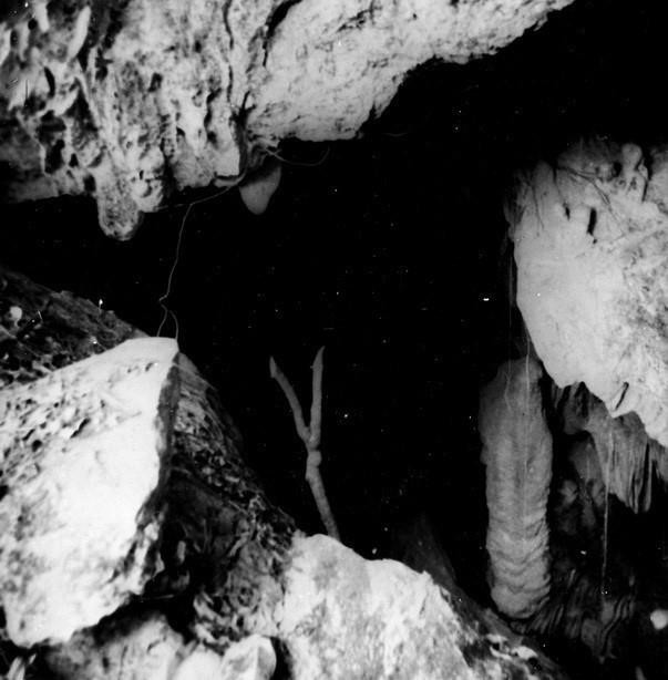 El Presidente Ho Chi Minh eligió Cao Bang —una región de especial importancia geopolítica, de defensa y seguridad, y con una rica tradición patriótica— como la primera base revolucionaria. En la imagen: La cueva Coc Bo, primer lugar de residencia y trabajo de Nguyen Ai Quoc tras su regreso al país el 8 de febrero de 1941. (Foto: VNA)