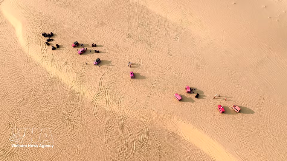 Vehículos turísticos recorren las dunas, aportando dinamismo y color al paisaje. (Foto: VNA)