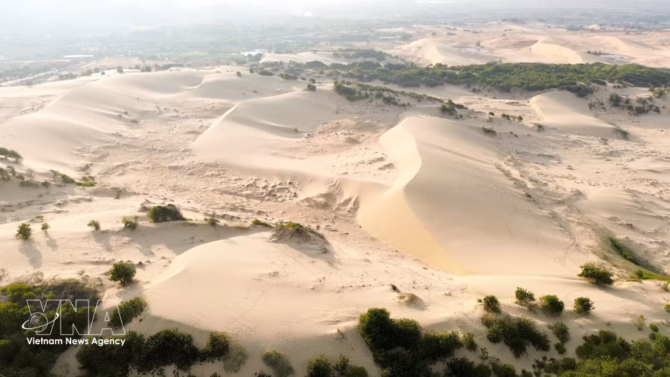 Franjas interminables de arena junto al mar forman un escenario prístino que atrae a turistas y fotógrafos. (Foto: VNA)