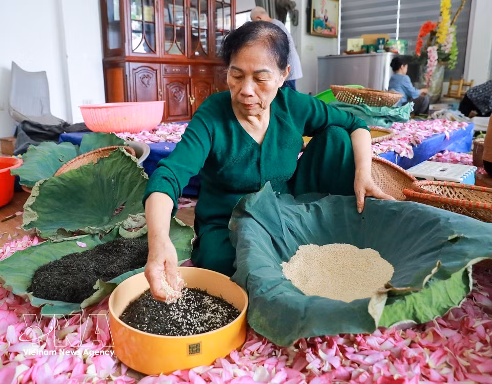 La aromatización del té verde constituye la etapa más importante de este oficio tradicional. (Foto: VNA)