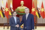 El secretario general del Partido Comunista de Vietnam, To Lam, recibe al Sultán de Brunéi Darussalam, Haji Hassanal Bolkiah. (Foto: VNA)