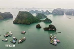 El hermoso paisaje natural de la Bahía de Ha Long atrae a muchos turistas (Foto: VNA)