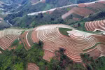 Terrazas de arroz en la temporada de riego en Bac Yen