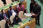 La viceministra de Relaciones Exteriores de Vietnam, Nguyen Minh Hang, emite su voto. (Foto: VNA)