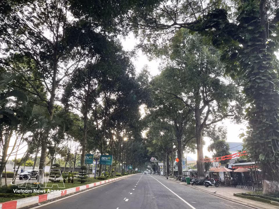 La calle Dam San conduce al aeropuerto de Buon Ma Thuot. Foto: VNA