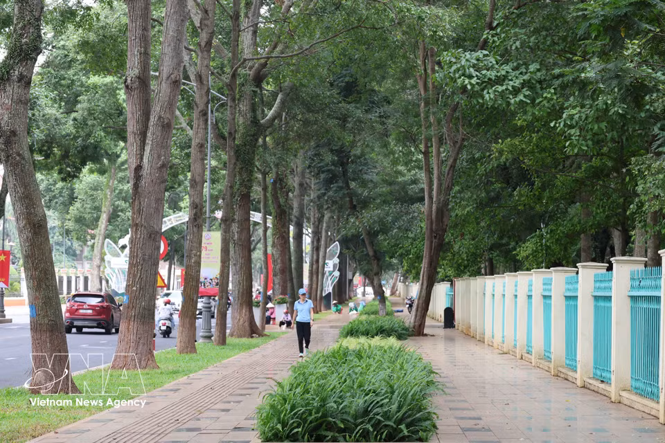 Amplios espacios peatonales y aceras cubiertas por la sombra de árboles centenarios en Buon Ma Thuot. Foto: VNA