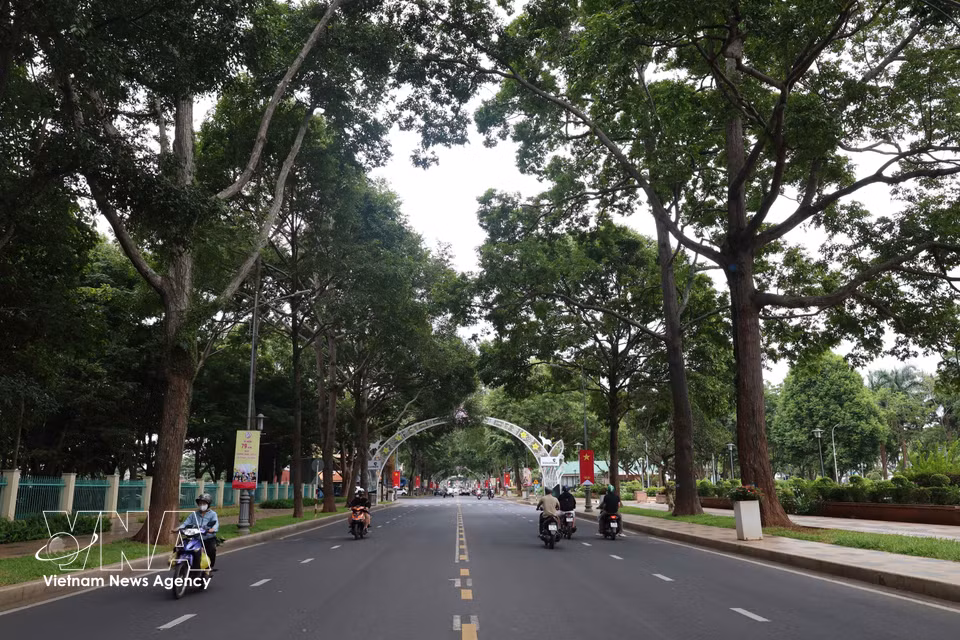 Calles de Buon Ma Thuot cubiertas por la sombra de árboles verdes. Foto: VNA