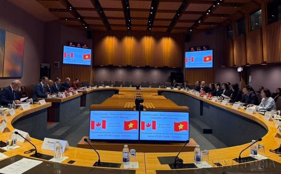 La tercera Reunión del Comité Conjunto de Cooperación Económica Vietnam-Canadá (JEC 3) se celebra bajo la copresidencia de la viceministra vietnamita de Industria y Comercio, Phan Thi Thang, y el viceministro canadiense de Asuntos Globales, Arun Thangaraj (6 de junio de 2026). Foto: VNA