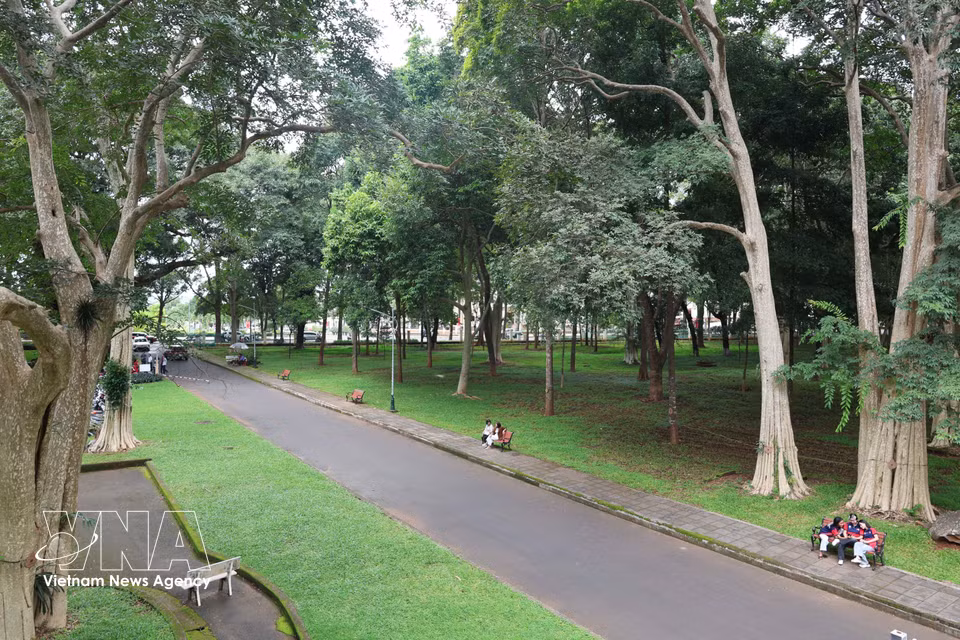 Espacios verdes y frescos en pleno centro urbano de Buon Ma Thuot. Foto: VNA