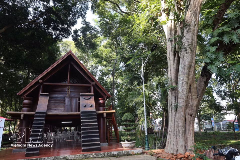 Una moderna casa comunal de formato alargado, inspirada en las tradicionales viviendas largas de la etnia E De Kpa, bajo la sombra de árboles centenarios, contribuye a preservar la identidad cultural de los pueblos de la Altiplanicie Occidental de Vietnam. Foto: VNA