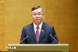 El auditor general del Estado, Ngo Van Tuan. (Foto: VNA)
