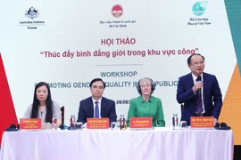 Presentan resultados piloto de Índice de Igualdad de Género para sector público vietnamita 