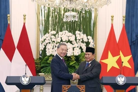 El secretario general del Partido Comunista de Vietnam, To Lam, y el Presidente de Indonesia, Prabowo Subianto. Foto: VNA 
