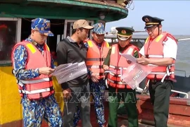 La provincia vietnamita de Ninh Binh completa el registro del 100% de sus embarcaciones y supervisa las de alto riesgo para erradicar la pesca ilegal. Foto ilustrativa. (Fuente: VNA)