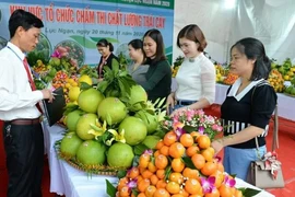 El Festival de la Fruta de Bac Ninh 2025 se celebrará del 5 al 10 de diciembre. (Foto: baobacninh) 
