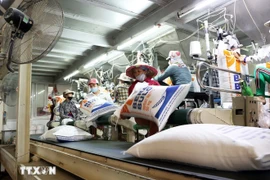 Linea de envasado de arroz para exportación en la provincia de An Giang. (Foto: VNA)