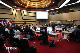Vietnam asume rol clave como Coordinador de las relaciones ASEAN-Nueva Zelanda para el período 2024-2027 (Foto: VNA)