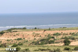 Vietnam ha dado grandes pasos para reactivar y acelerar el proyecto de la Central Nuclear de Ninh Thuan. (Foto: VNA)