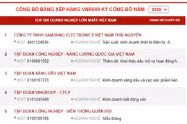 Vietnam Report revela las 500 empresas líderes de 2025. (Captura de la pantalla)
