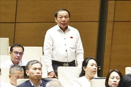 El ministro de Cultura, Deportes y Turismo de Vietnam, Nguyen Van Hung, en su intervención ante la Asamblea. (Foto: VNA)