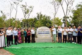 Ciudad Ho Chi Minh promueve la solidaridad internacional con la plantación de árboles de amistad. (Foto: VNA)