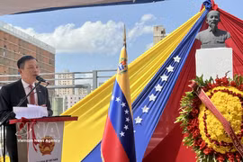 El embajador de Hanoi en Caracas, Vu Trung My. (Foto: VNA)