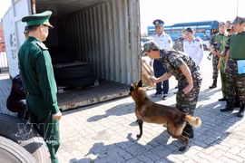 Vietnam intensifica lucha contra drogas. (Foto: VNA)